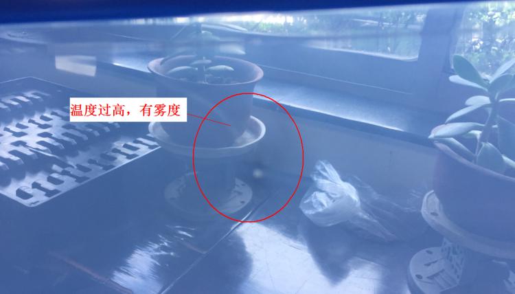 注塑制品質(zhì)量缺陷分析（六）造成制品表面有霧度的主要原因是什么？